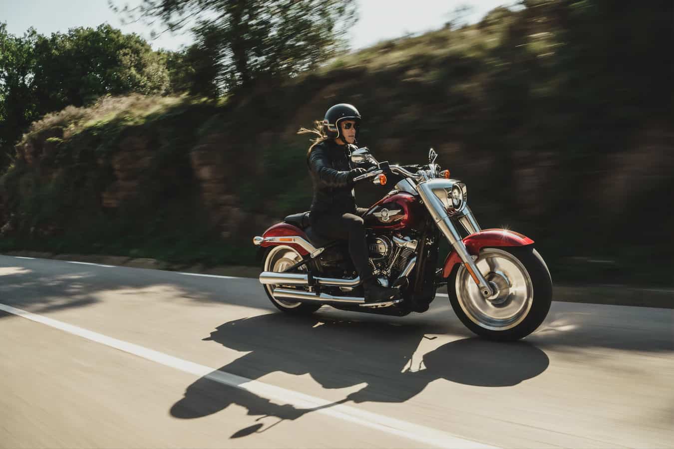 Motorcycle on the Highway